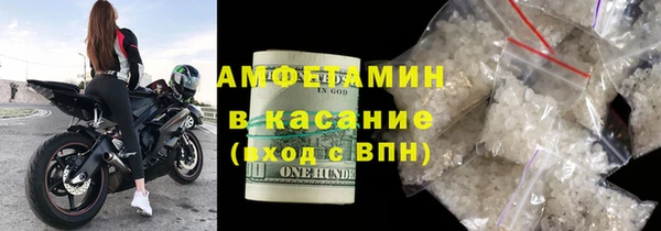 прущие грибы Аркадак