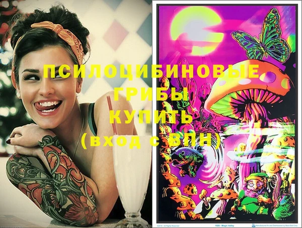 прущие грибы Аркадак
