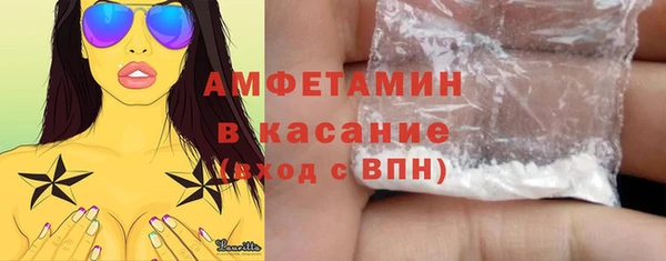 прущие грибы Аркадак