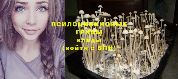 МДПВ Арсеньев