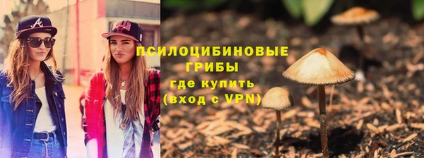 МДПВ Арсеньев