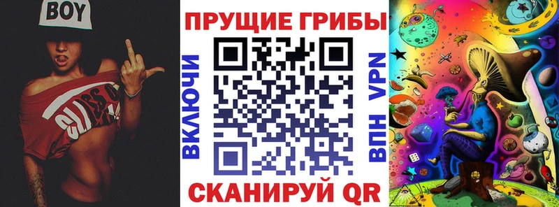 Галлюциногенные грибы Psilocybine cubensis  Балтийск 