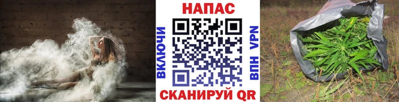 Бошки Шишки гибрид  Балтийск 